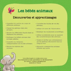 Les Bébés Animaux -VTECH BABY Boutique 480005 livre bC3A9bC3A9 animaux dos