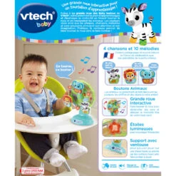 VTECH BABY La Grande Roue Des Baby Loulous -VTECH BABY Boutique 80 165965 dos boite
