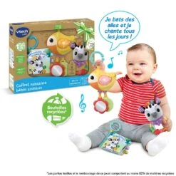 VTECH BABY Coffret Naissance Bébés Animaux 10 VTECH BABY Coffret Naissance Bébés Animaux -VTECH BABY Boutique 80 562505 CAT
